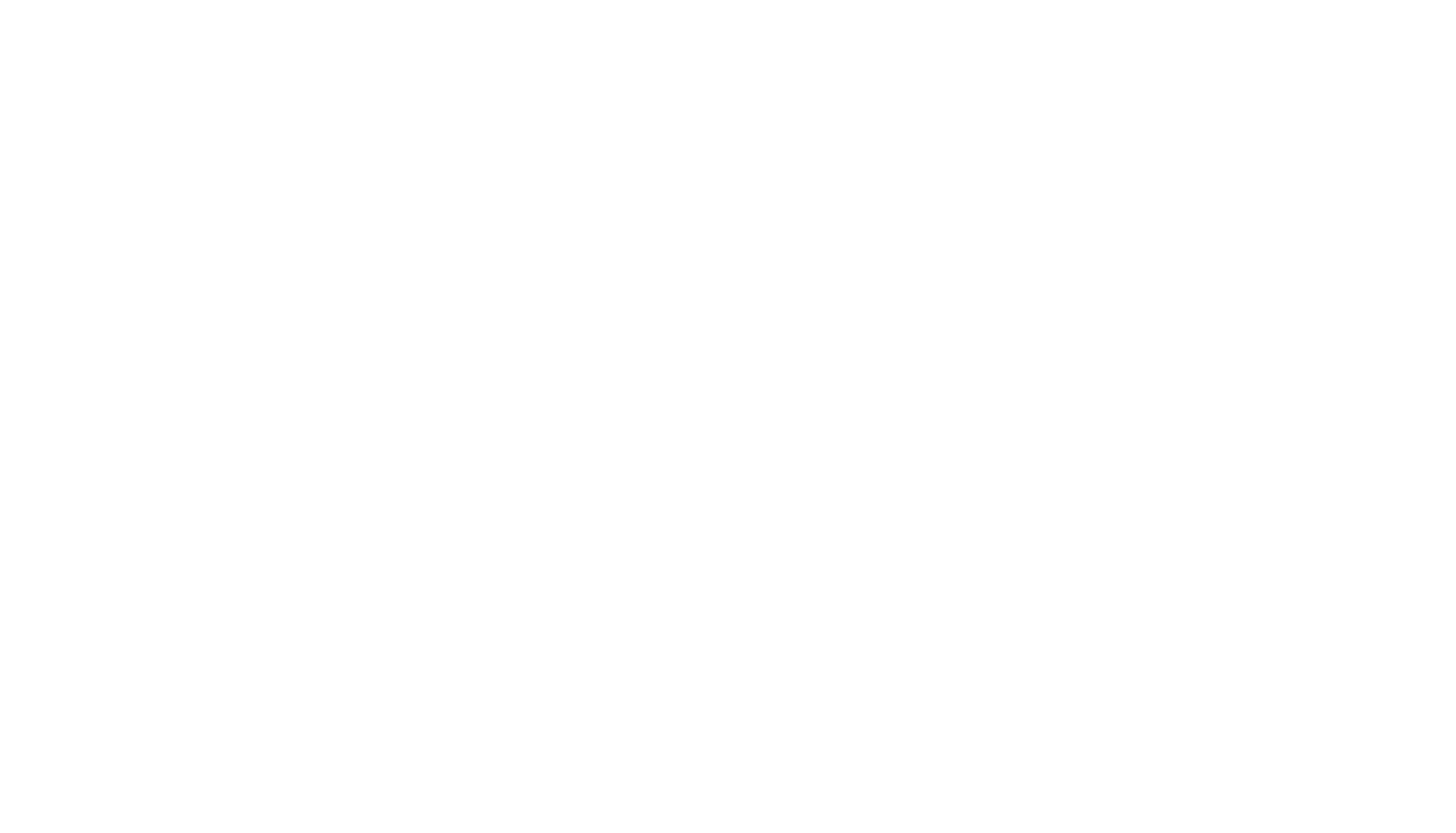 Dulsini Logo